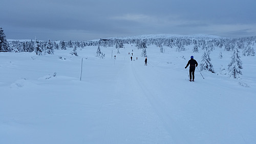Mot Pellestova