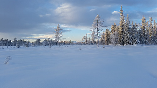 Over Langkloppmyra