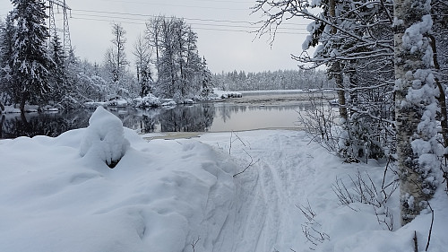 Birkebeinerløypa ved Mesnaelva  