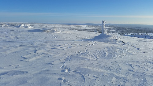 På Mostfjellet