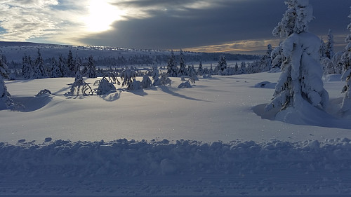 Fra løypa mot Snørvillen