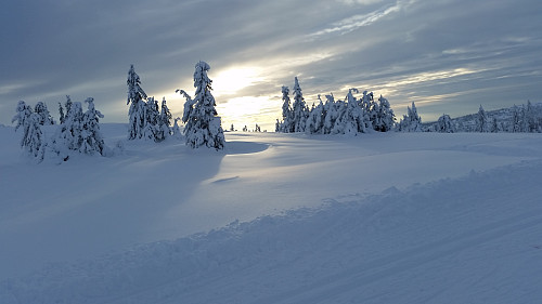 Øverst i løypa