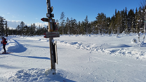 På Sagmyra