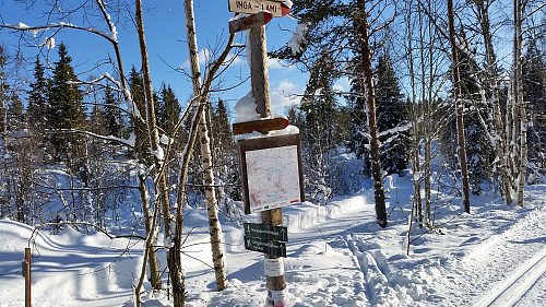 På Sagmyra
