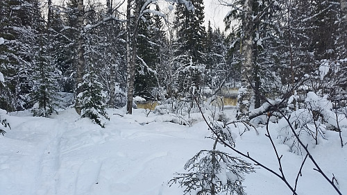 Ved Øvstedalsfossen
