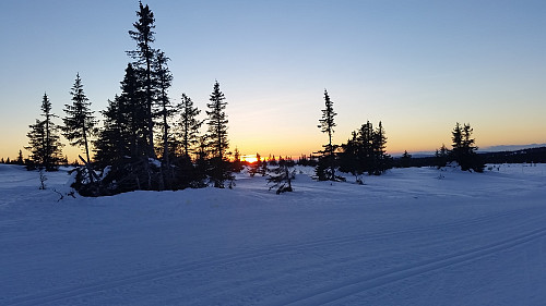 Solnedgang sett fra Birkebeinerløypa
