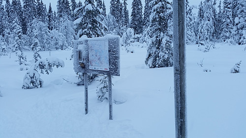 Langkloppmyrkrysset
