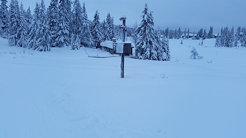 Krysset ved Trondsmyra