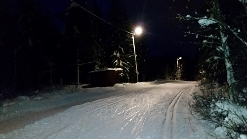 Ved Hammerkoia