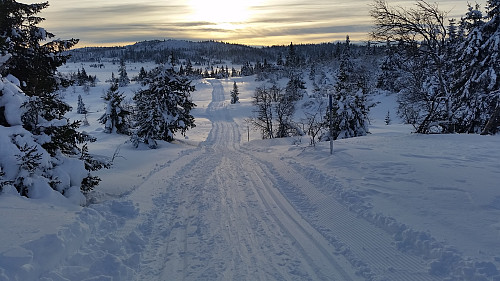 På veg oppover mot Nysetra