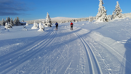 Mot Nevelfjell