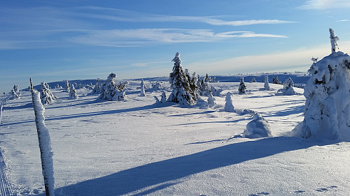 Oppover mot Lunkefjell