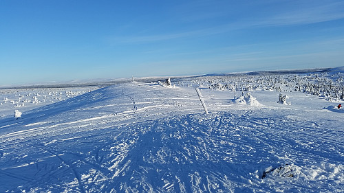 På Sjusjøfjellet