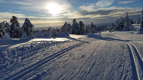 Nedover til Sjusjøen