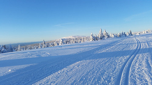 Mot Nordseter og Nevelfjellet