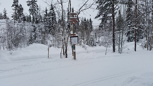 Krysset ved Mesnasaga