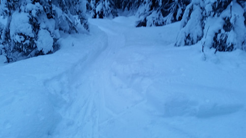 På Kanthaugen