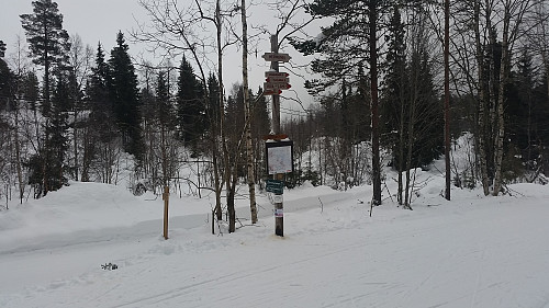 Ved Mesnasaga