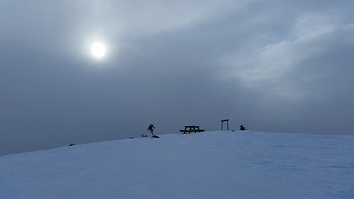 På Sjusjøfjellet