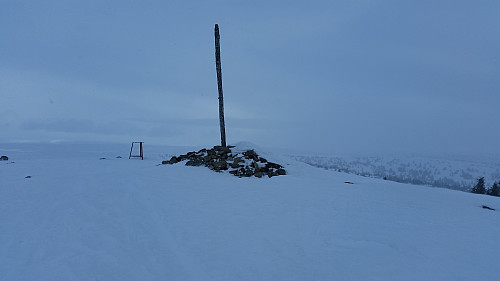 På Sjusjøfjellet