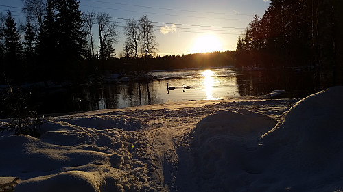 Ved Mesnaelva