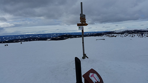 Fra toppen mot Synnfjellet og Vestfjellet