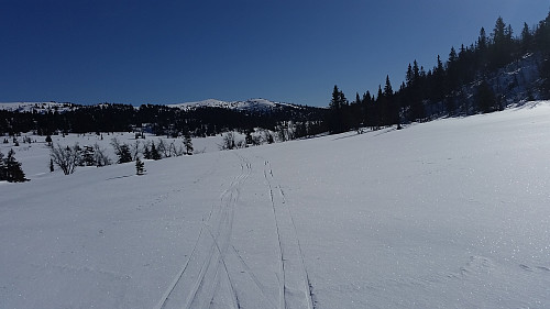 Langs Mjogsjøen
