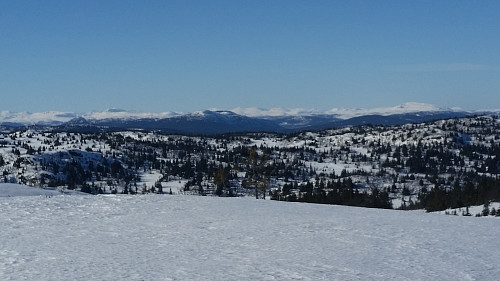 På Gaustumseterfjellet Nord