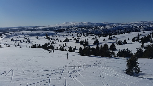 Mot Gaustumseterfjellet Nord og Synnfjellet
