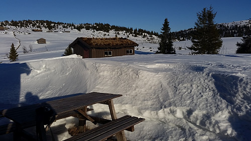 På Fjellro