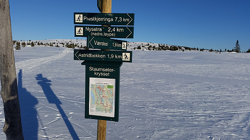 Staumseterkrysset