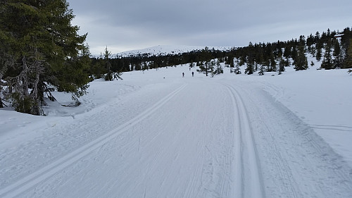 Har Nevelfjellet i sikte!