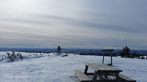 På Sjusjøfjellet