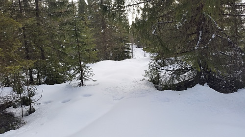 På Kanthaugen