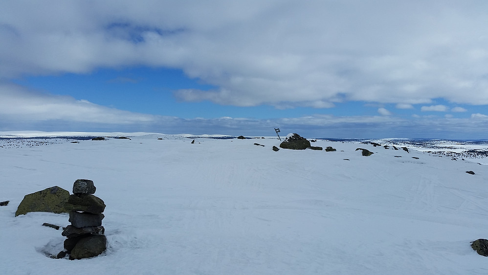 På Reinsfjellet