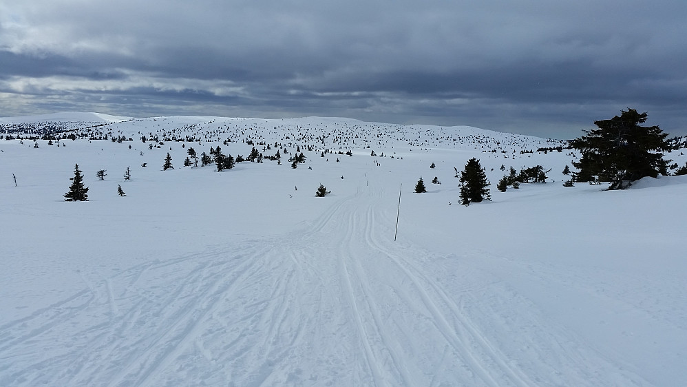Ser tilbake mot Reinsfjellet