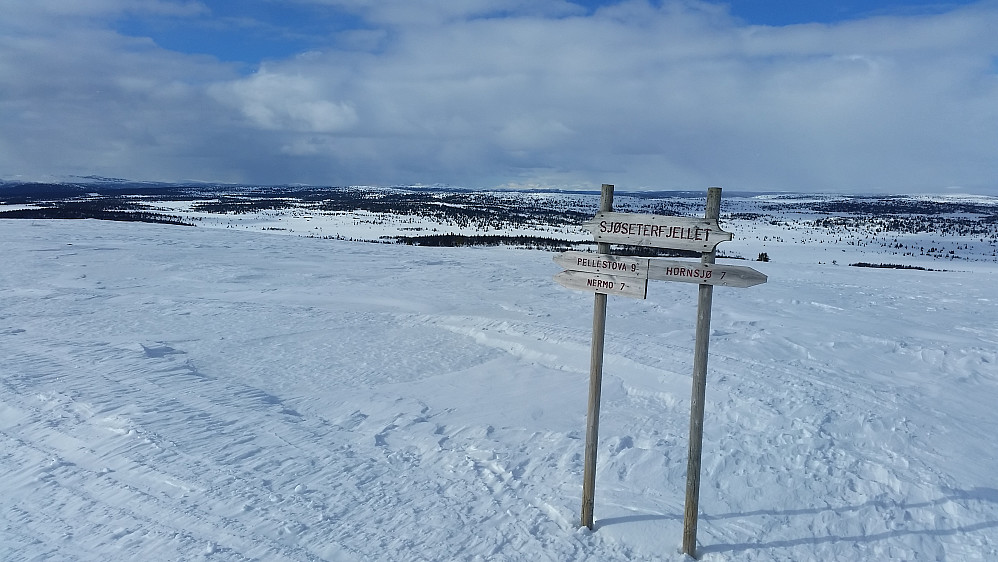 På Sjøsæterfjellet