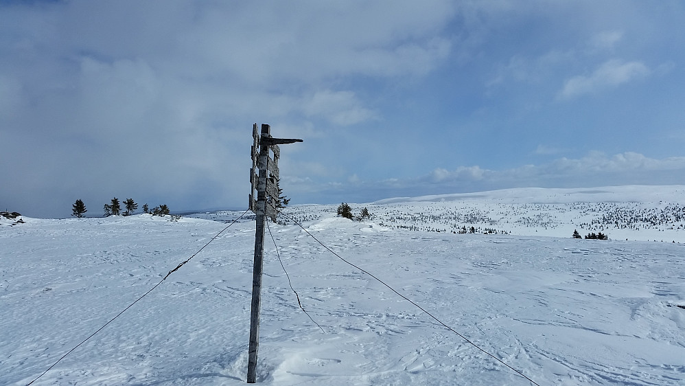 Fra Sjøsæterfjellet mot Veslefjellet
