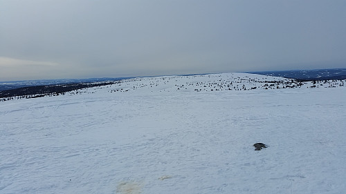 Fra Snørvillen mot Mostfjellet
