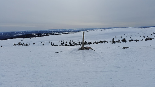 På Mostfjellet, mot Sollifjell