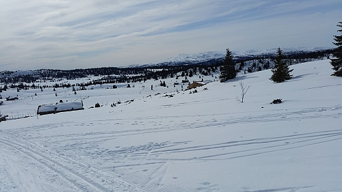 Nysetra