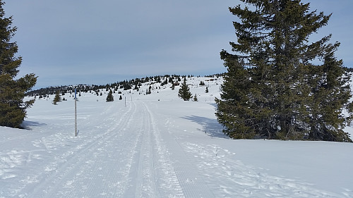 Oppover mot Nysetra