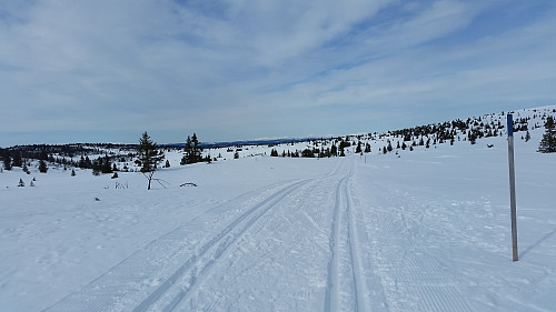 Mot Staumsetra og Rondane