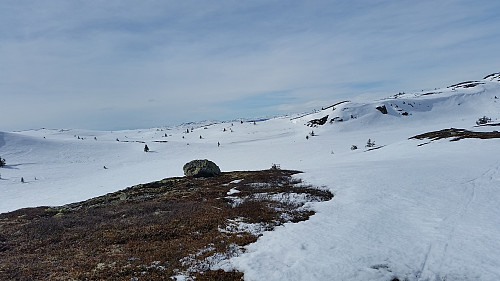 På Rævskorotjernhaugen