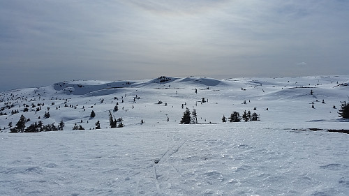 På Flugstadfjellet