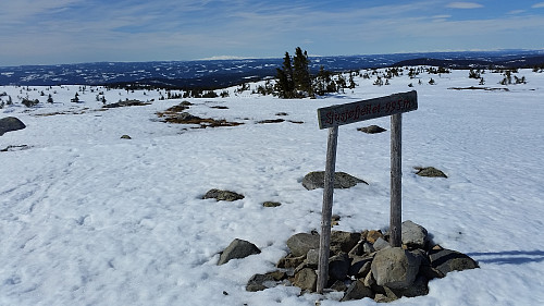 På Sjusjøfjellet