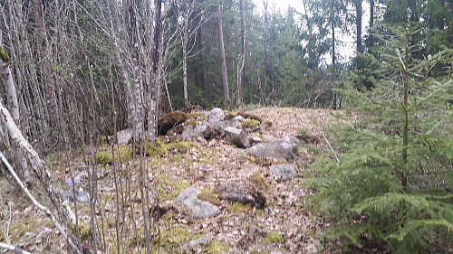 Høyeste punkt