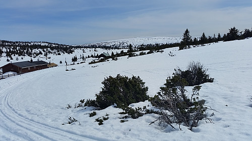 Setrene på Gjestebodåsen