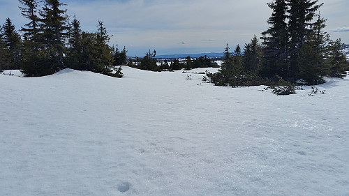 Gjestebodåsen