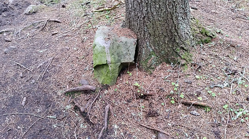 Naturens egen T - merking